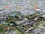 TOURS NORD CELLULES COMMERCIALES A VENDRE 96 A 350 M² PROGRAMME NEUF