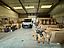 OPPORTUNITE EN EXCLUSIVITE - LOCAL ACTIVITE A ROUZIERS DE TOURAINE (A 15 minutes de Tours)
